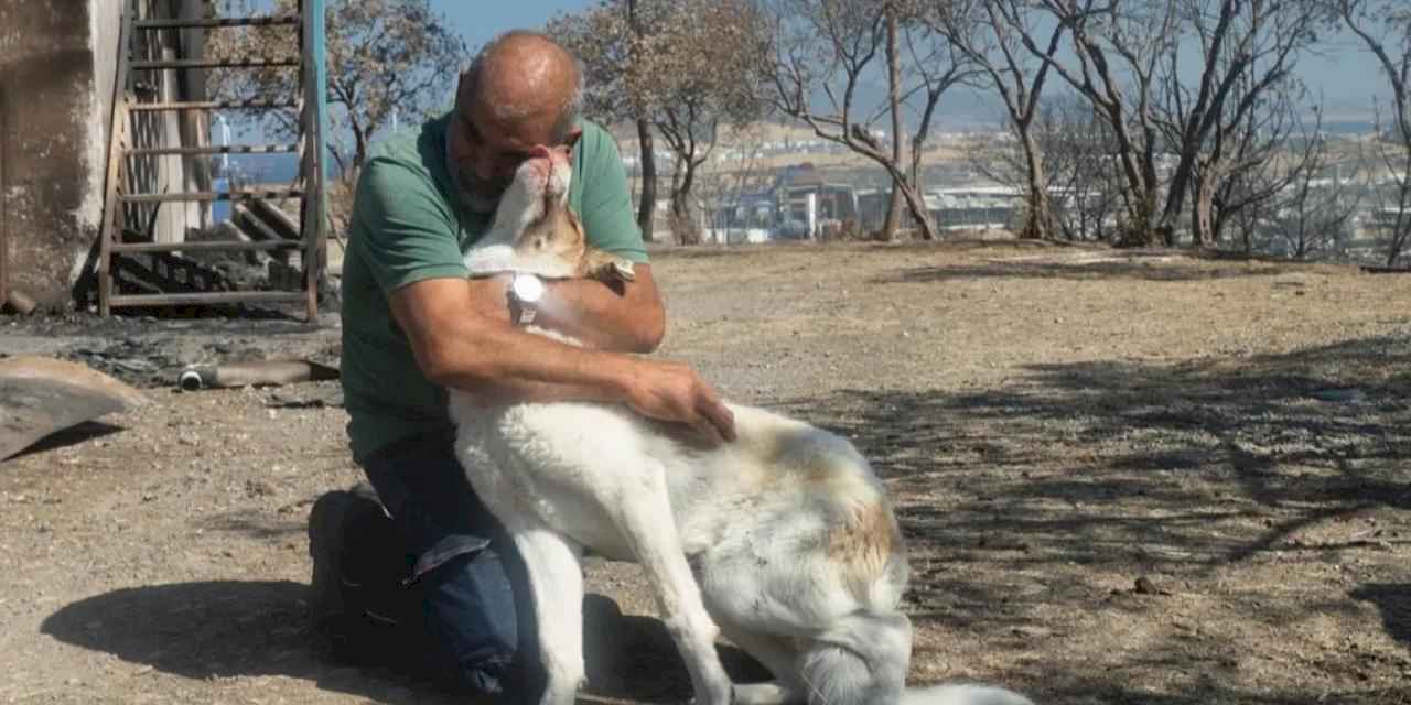 İzmir'de yangından kurtarılan Kaptan'a sıcak yuva