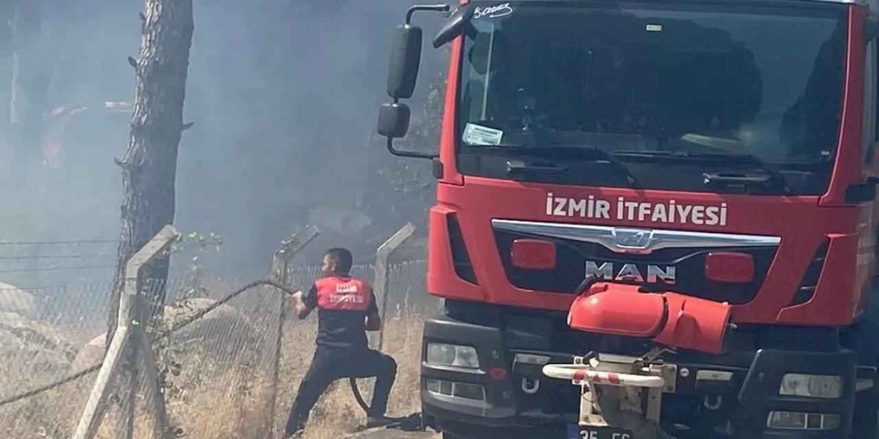İzmir Bergama’da orman yangınına müdahale ediliyor