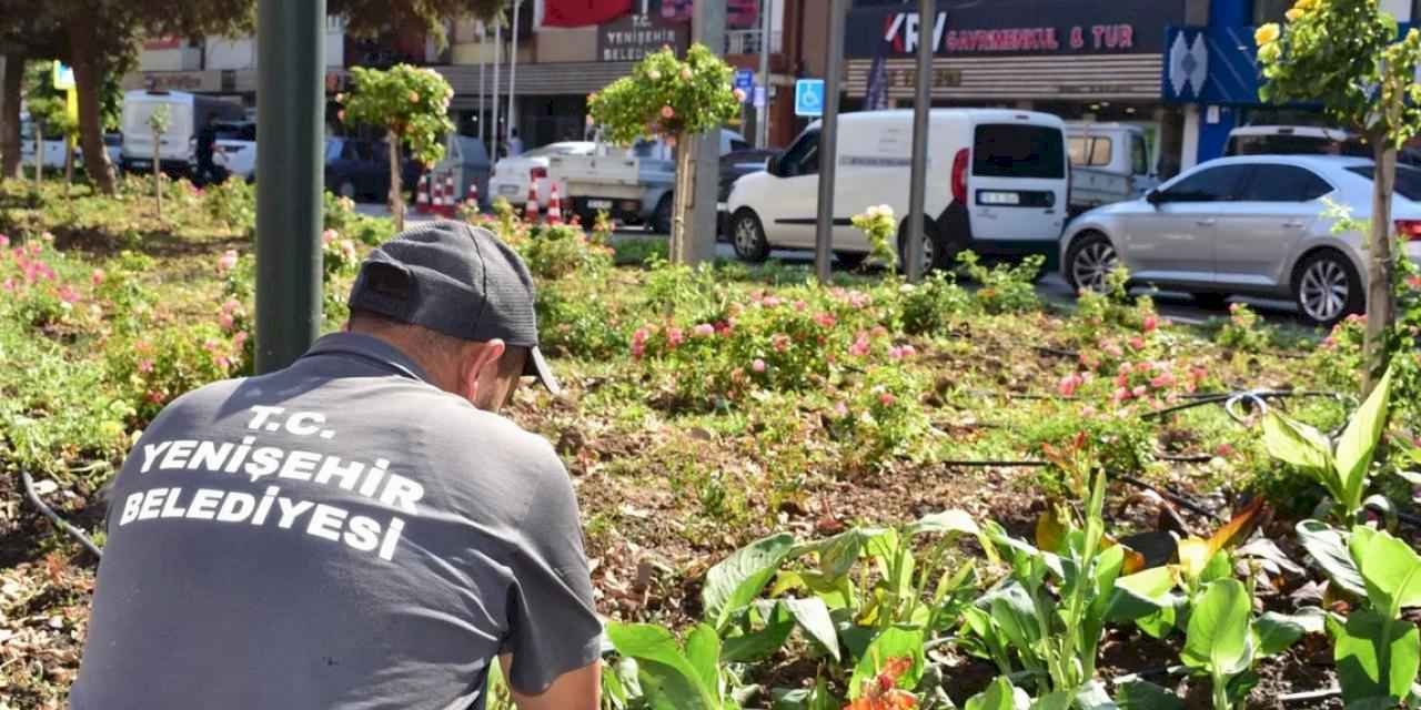 Bursa Yenişehir'in kalbi çiçek açtı