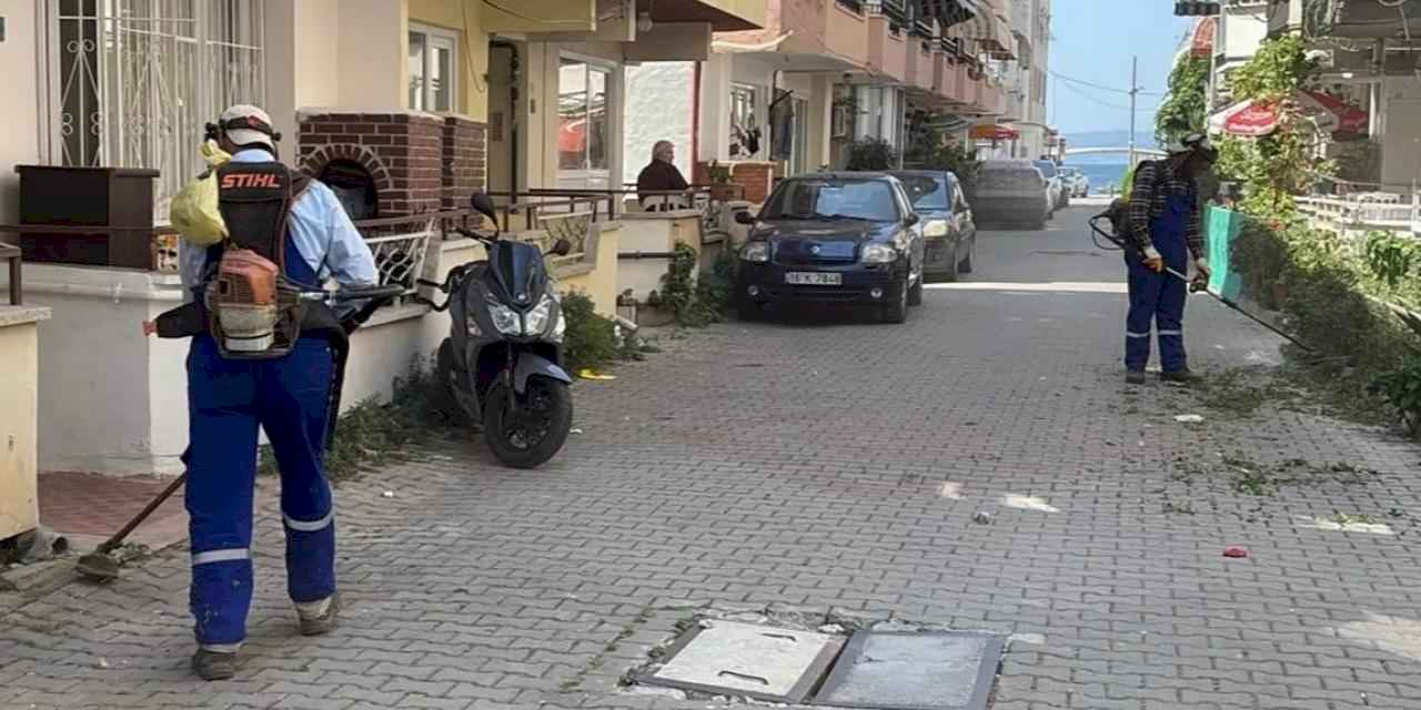 Bursa'da Gemlik Belediyesi'nden Kumla’ya yaz temizliği desteği