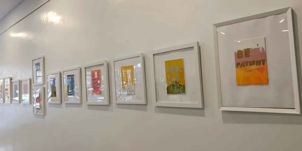 Türk Sanatçı Şule Sayan’ın sergisi New York'ta açıldı