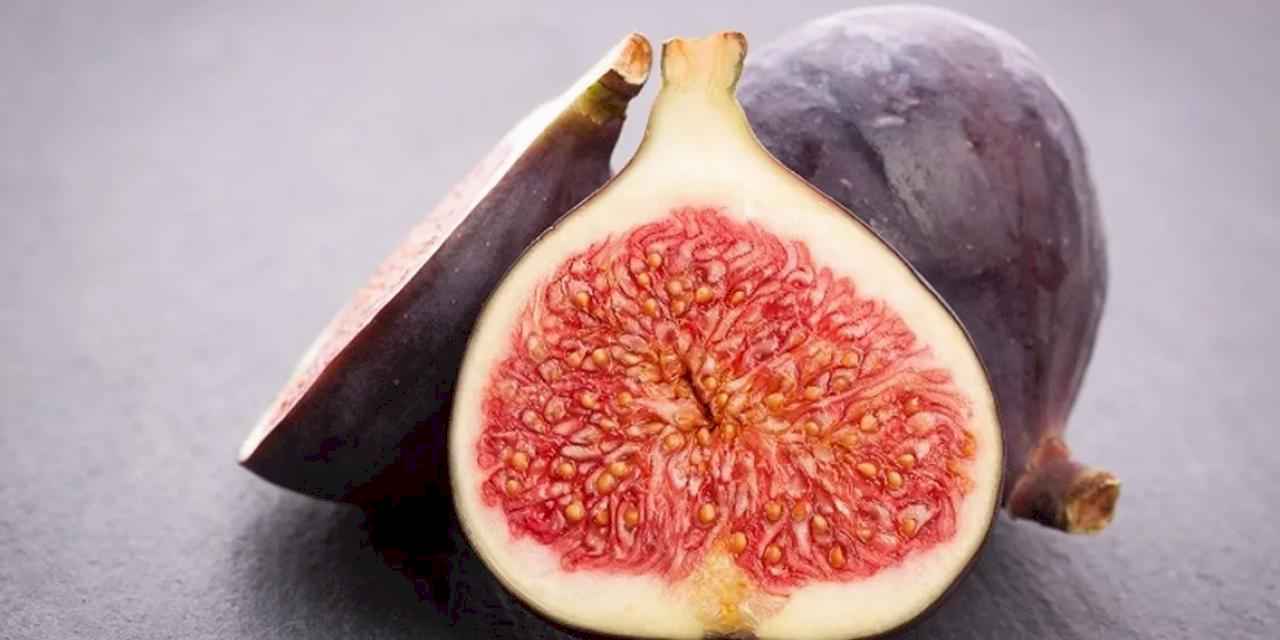 Cennet meyvesi incirlerin ihracat yolculuğu başladı