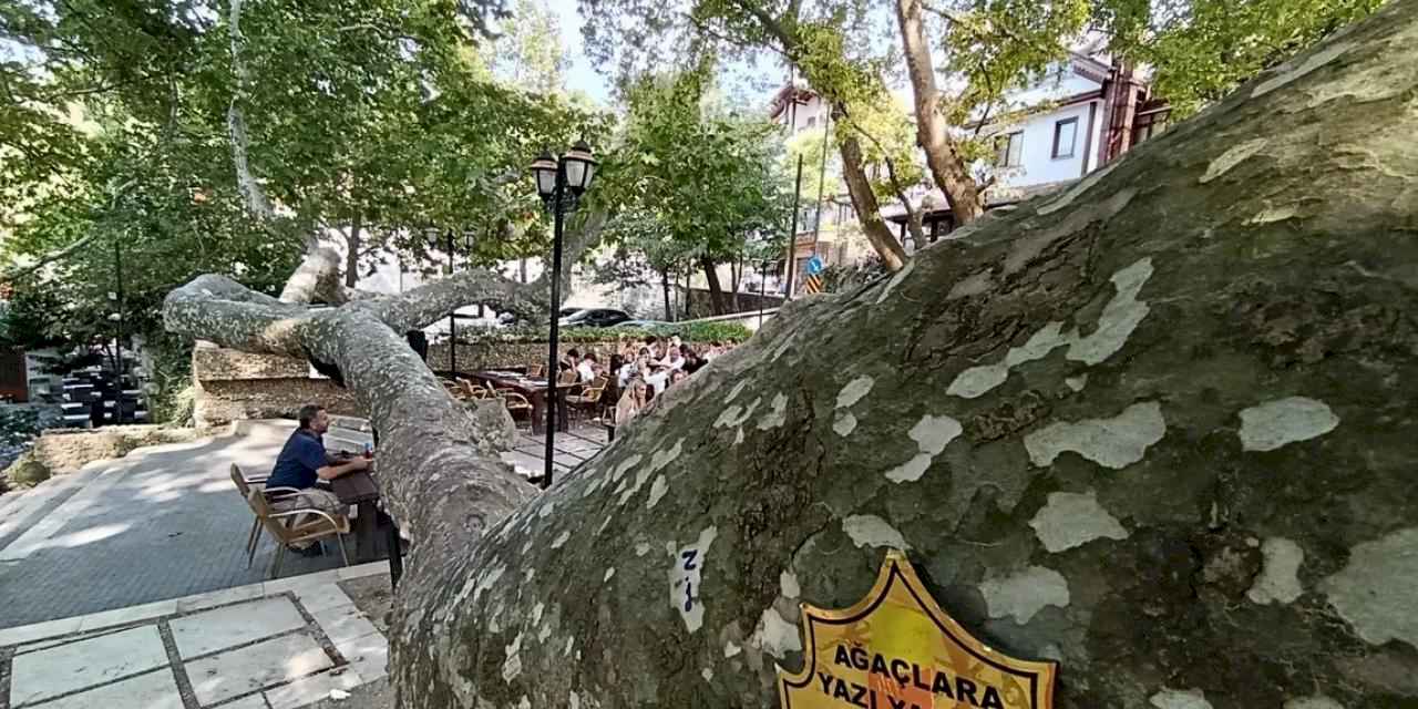 Osmanlı'dan günümüze... Bursa İnkaya'da görkemli gölge