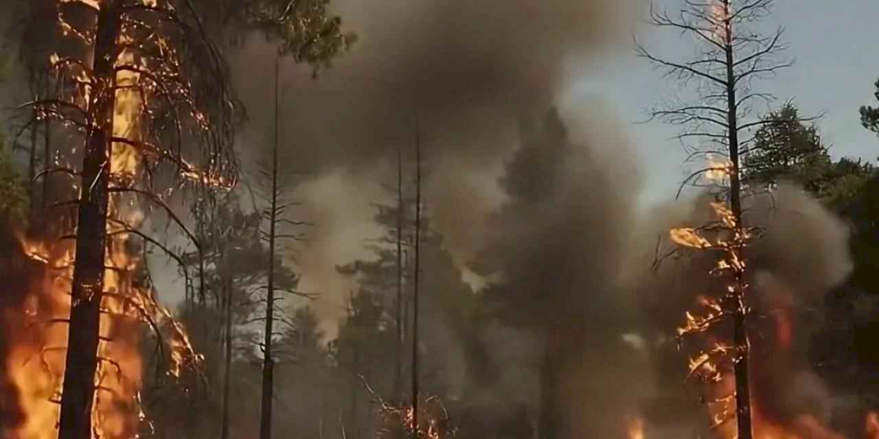 Bakan Yumaklı’dan orman yangını uyarısı: Yeşil Vatan'ı hep birlikte koruyalım