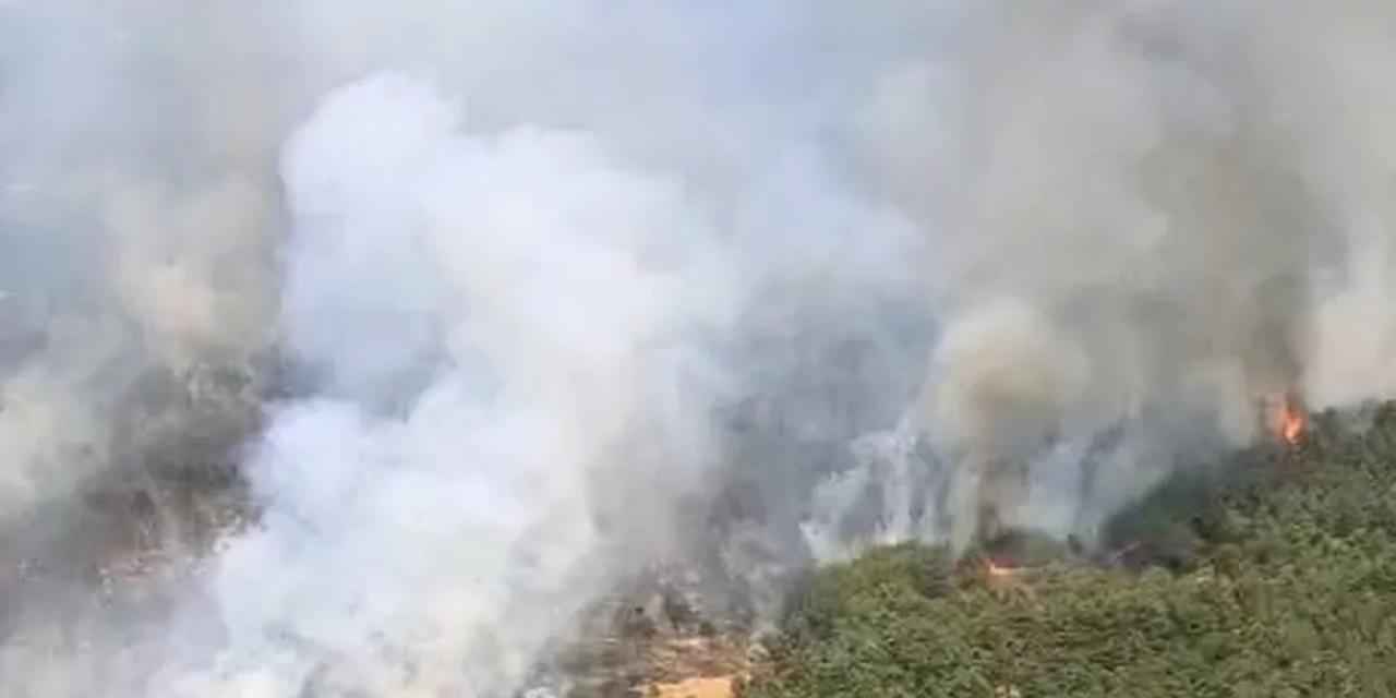 Uşak ve İzmir Bergama’da yangınlara müdahale sürüyor