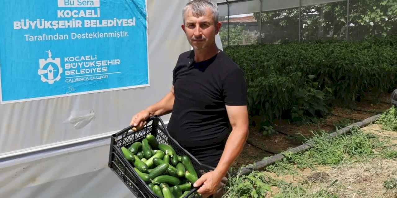 Kocaeli'de modern seralarda hasat bereketi