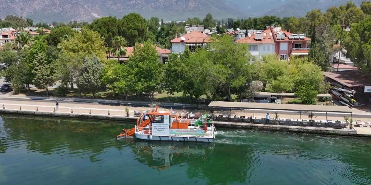 Muğla'nın doğal güzellikleri Büyükşehir eliyle korunuyor