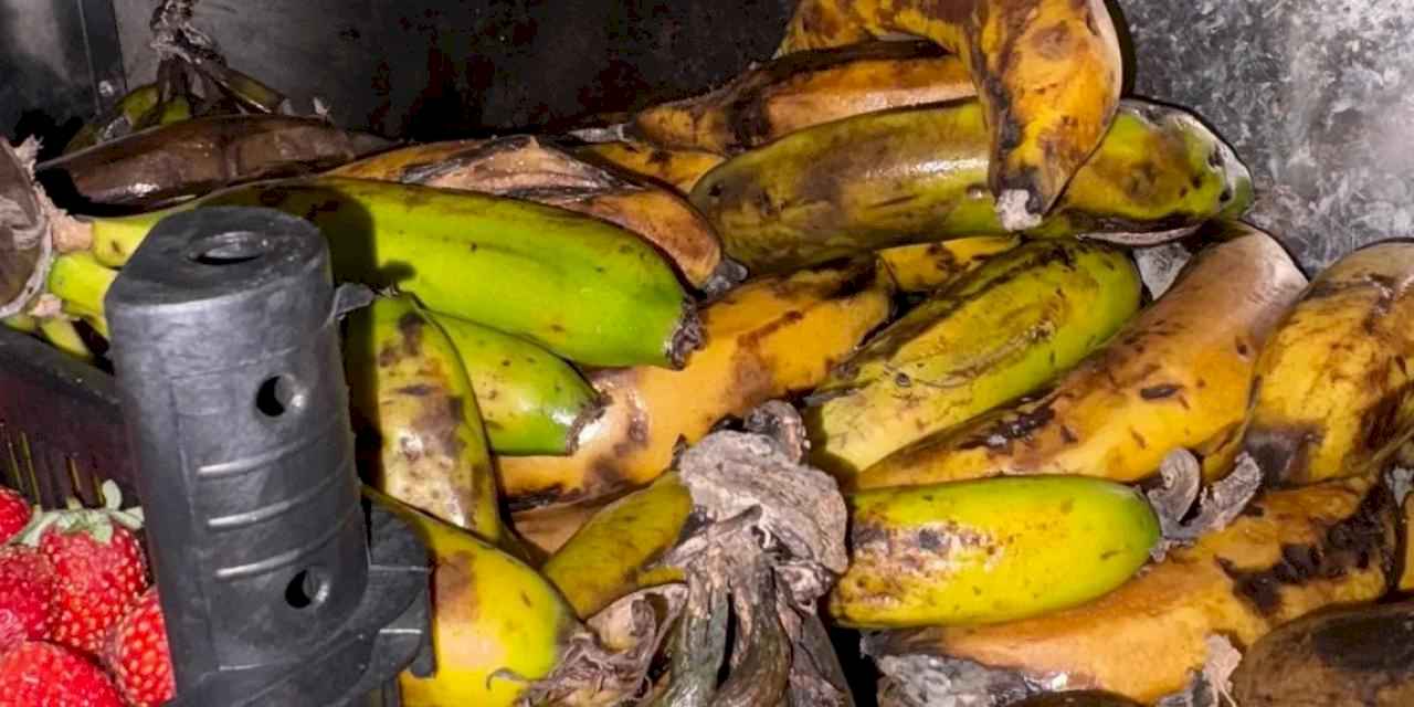 Şanlıurfa'da gıda denetiminde 189 bin TL ceza