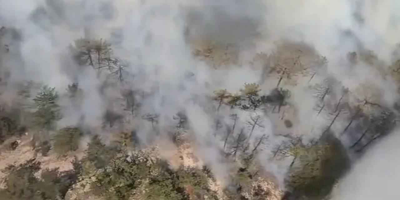 Eskişehir’de orman yangını... Müdahale sürüyor