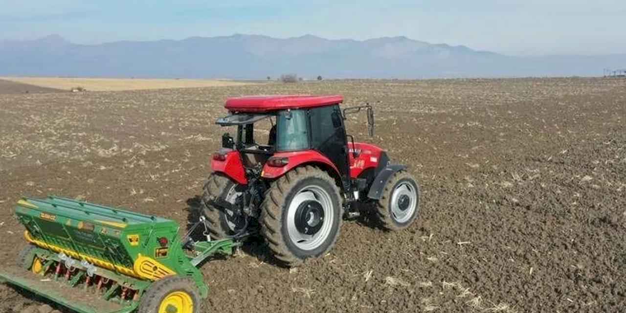 Sertifikalı tohum ve fidan destekleme başvurularında son tarih 31 Temmuz