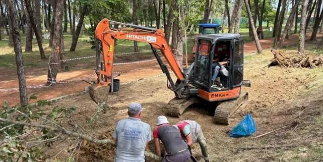Ordu Ünye Çamlık’ta doğa yenileniyor