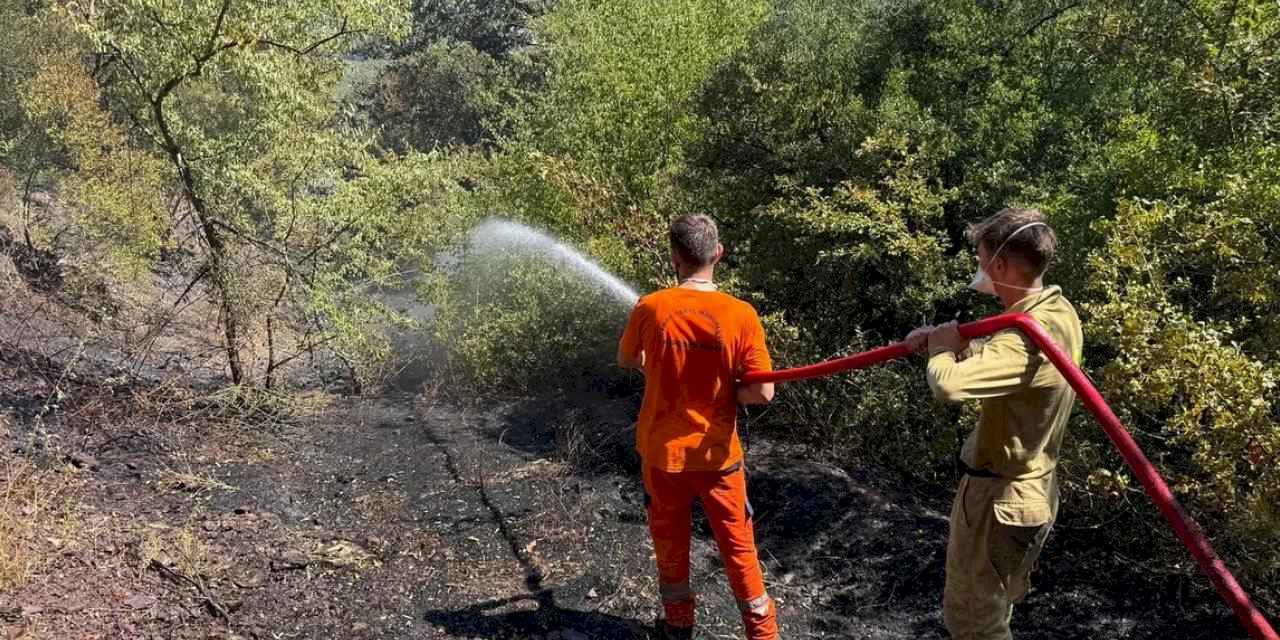 Sakarya Adapazarı'ndaki orman yangını kontrol altında