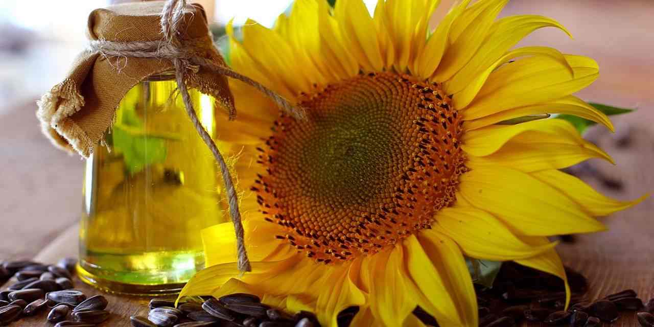 Yağlık ayçiçeği tohumu ve ham yağ ithalatına kontenjan açıldı