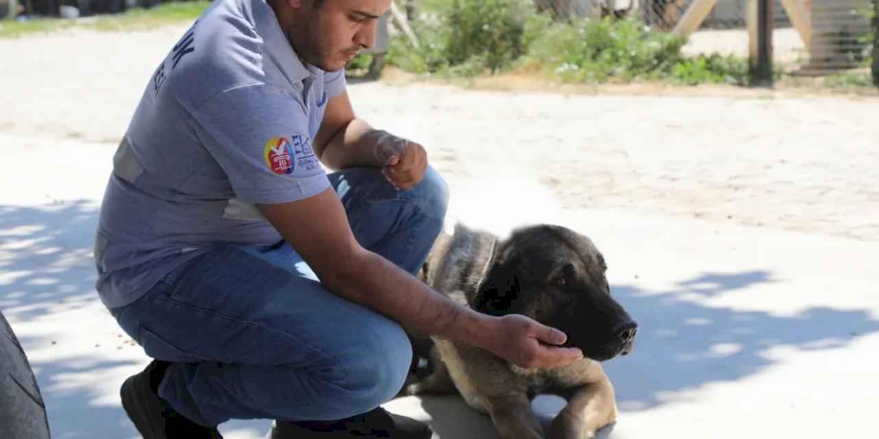 İzmir Efes Selçuk’ta 'satın alma sahiplen' çağrısı