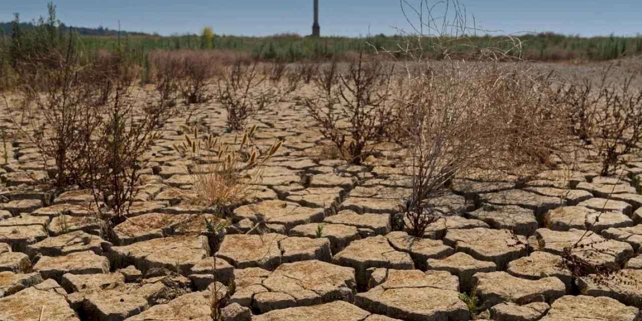 İZSU vatandaşları su tasarrufuna davet ediyor