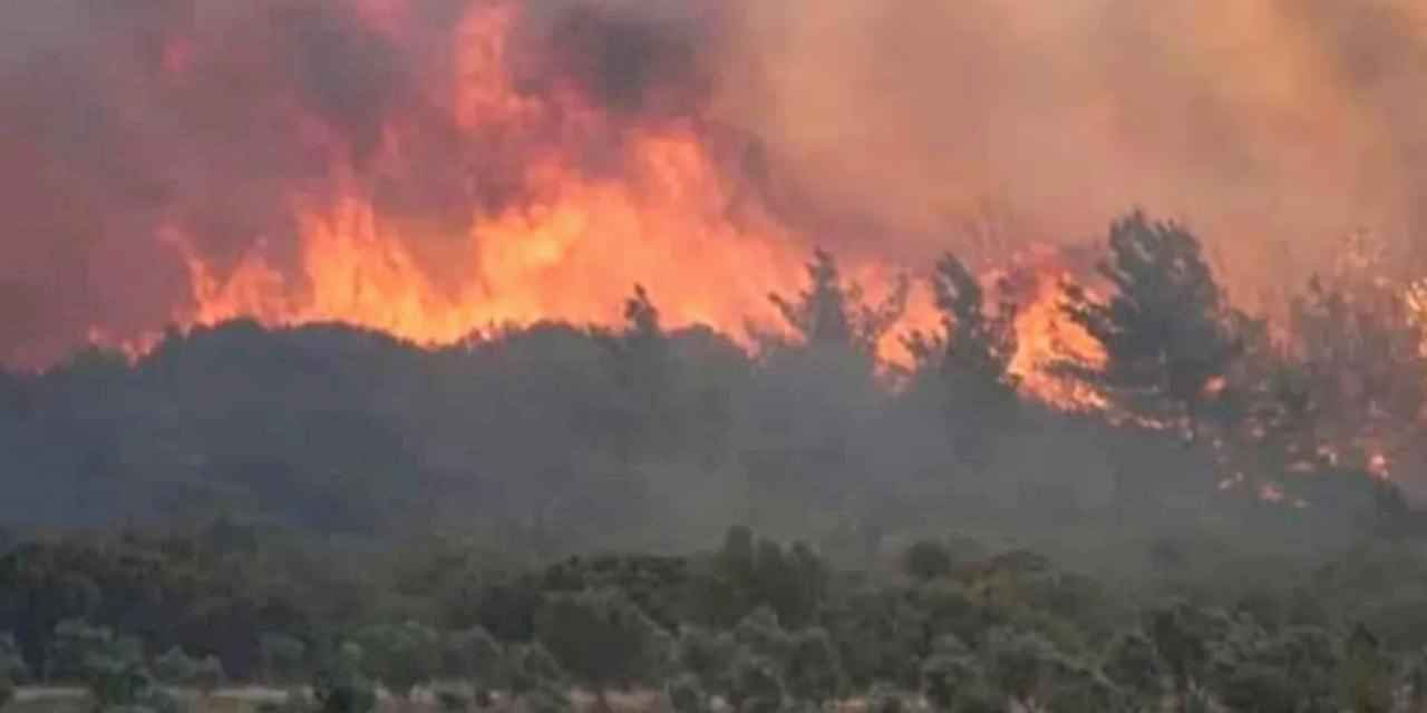 Eskişehir yangını sonrasında Aile'den psikososyal destek