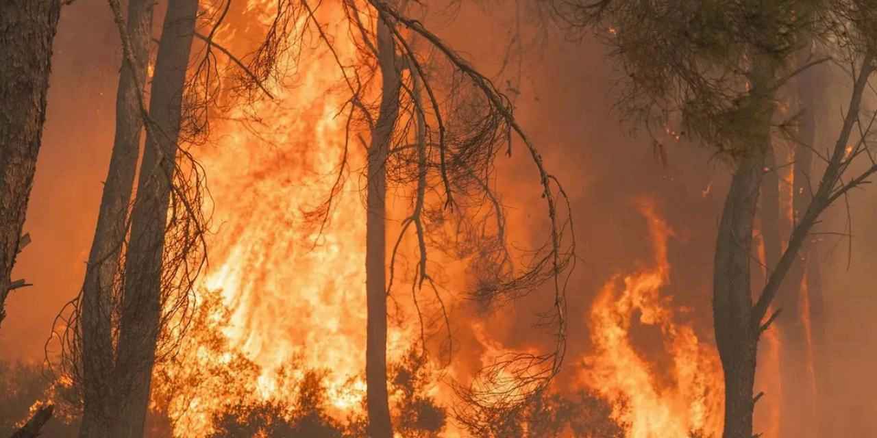 İzmir Gaziemir'deki yangın kontrol altına alınıyor