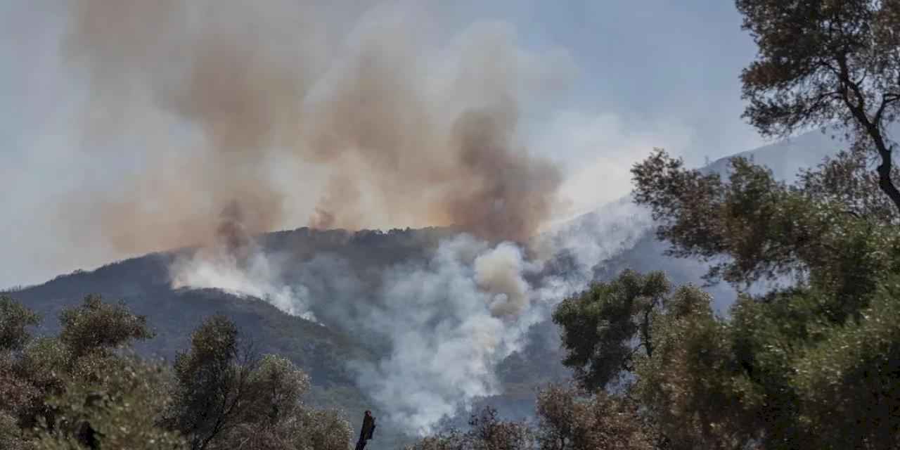 İzmir’in orman yangını risk haritası hazır