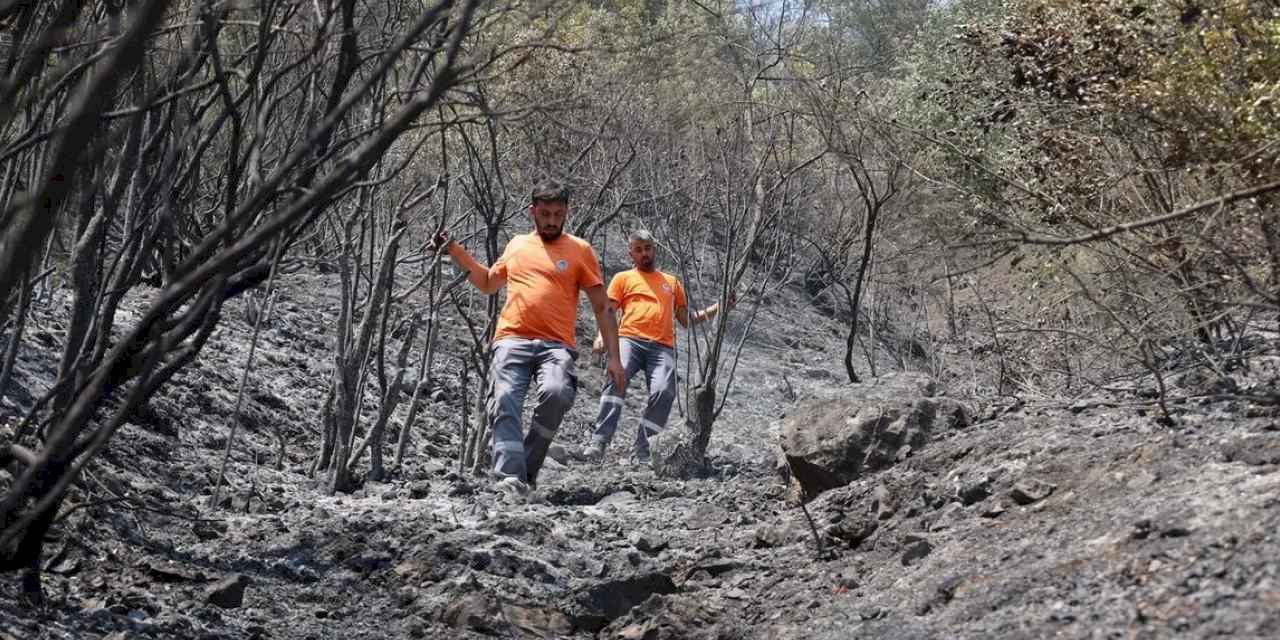 Sakarya Büyükşehir can dostlar için sahaya indi