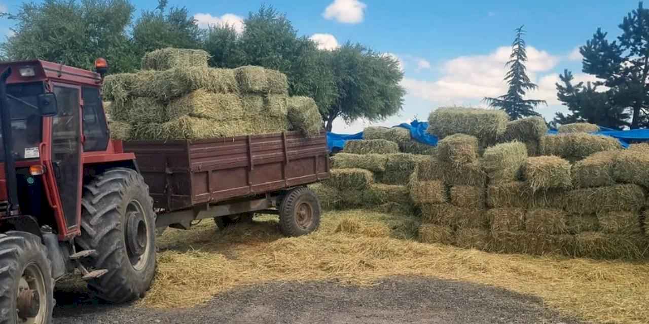 Kayseri Talas'tan üreticiye yem desteği