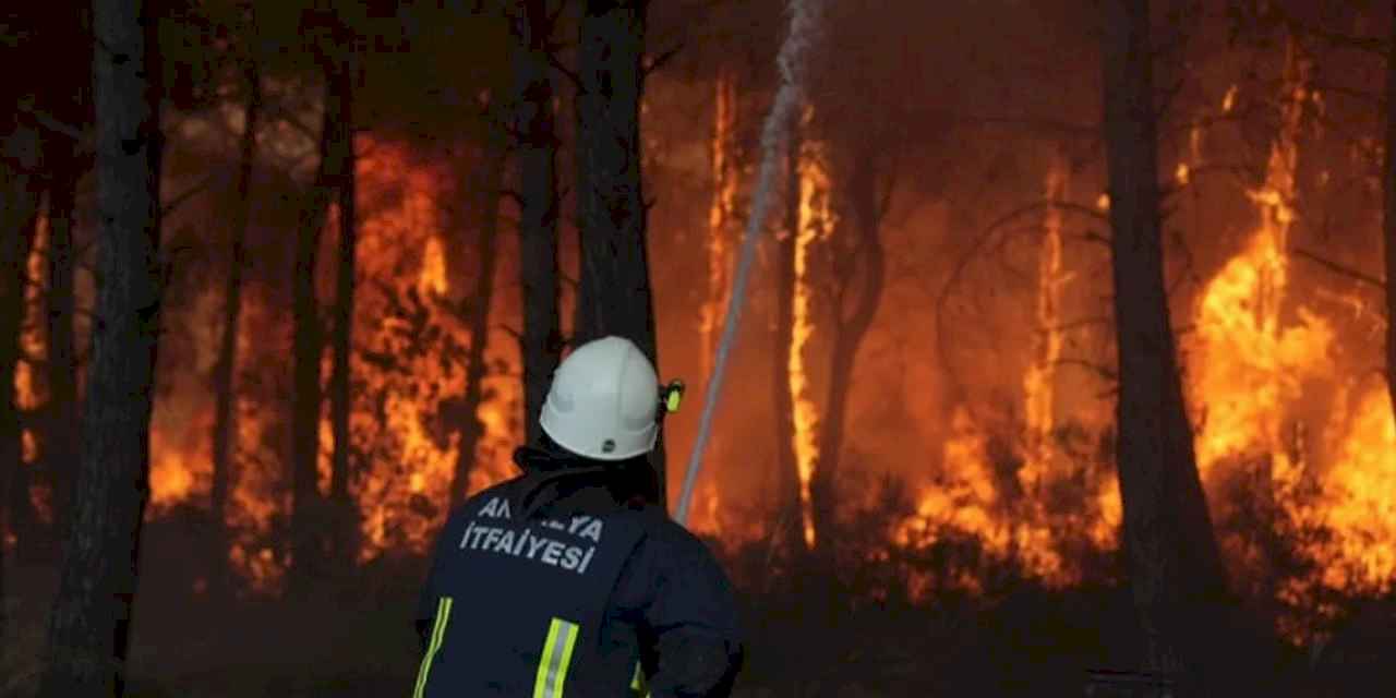 Antalya’da 4 farklı noktada orman yangını çıktı