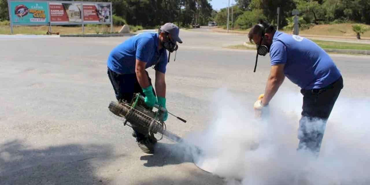 Antalya’nın tüm ilçelerinde haşereyle mücadele sürüyor