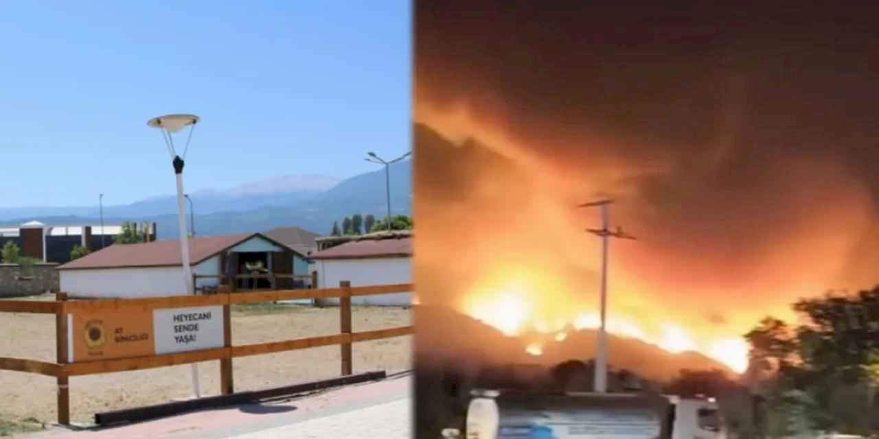 Bursa'da yangından etkilenen hayvanlara el açtılar