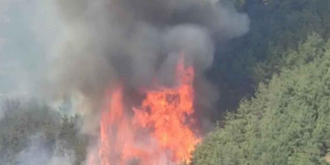 Bursa’da orman yangını güncel durum: Alevler yeniden şiddetlendi, çalışmalar sürüyor
