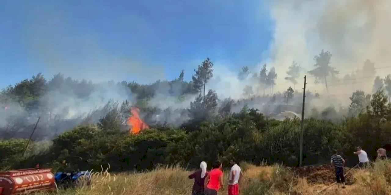 Muğla'nın yangın tankerleri aktif görevde