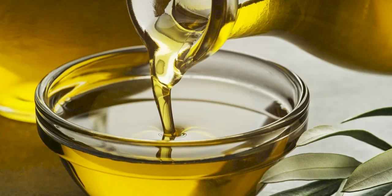 EZZİB o haberi yalanladı!