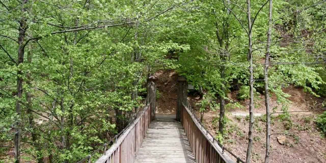 Yalova Valiliği ikinci bir emre kadar yasakladı!