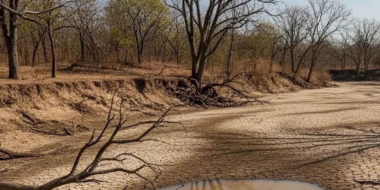 Malatya’da kuraklığa karşı üç aşamalı plan