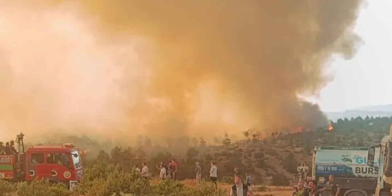 Bursa Harmancık’taki Çakmak köyü korundu!