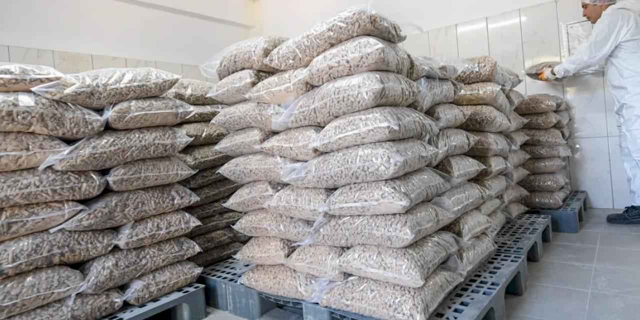 İzmir Belediyesi can dostlar için mama üretiyor