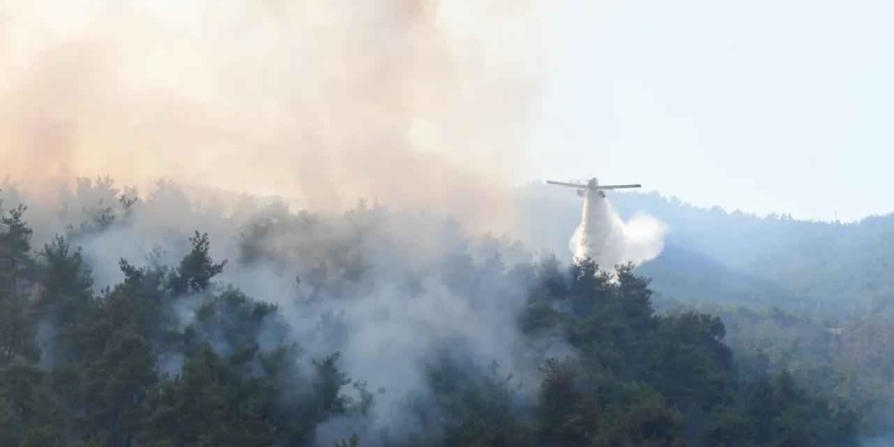 Bursa Kestel'de 2 günde kontrol altına alınan yangının soğutması 5 gün daha sürecek