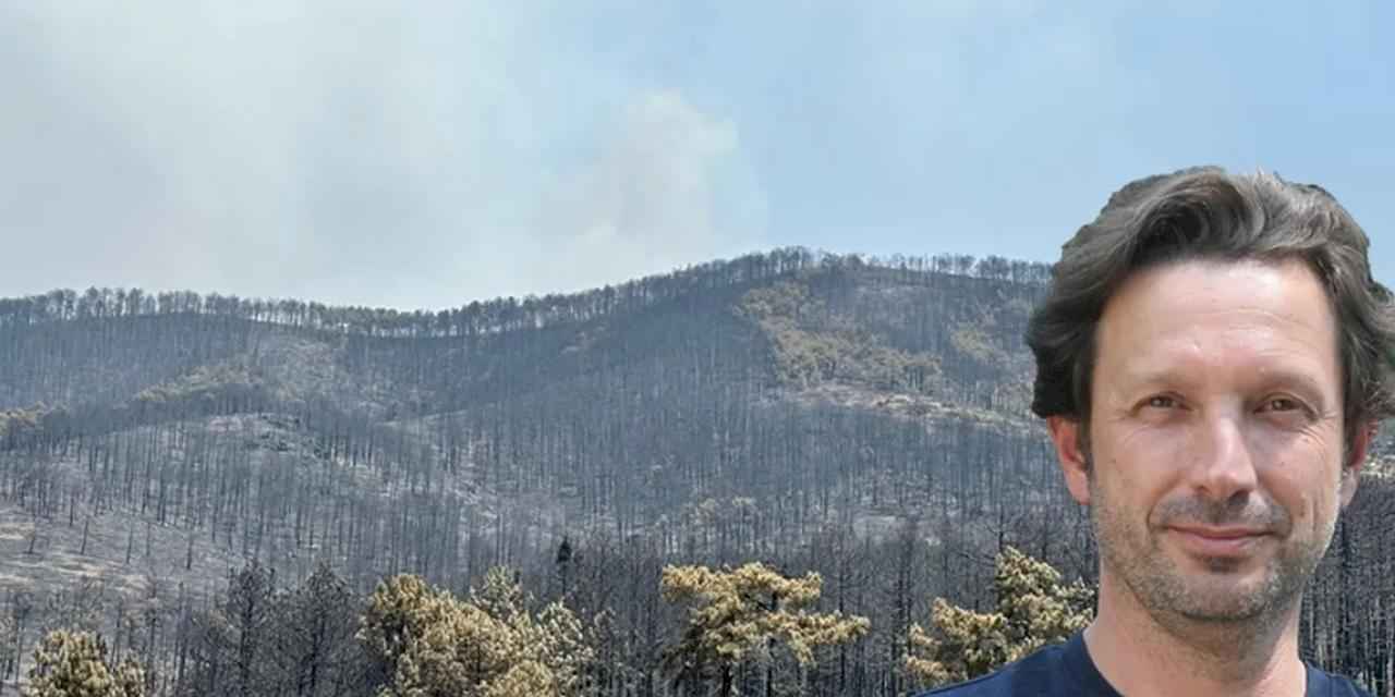 Prof. Dr. Arıcak'tan durum tespiti: Bursa’da 1100 hektarın geri dönüşümü 10 yılı bulacak!