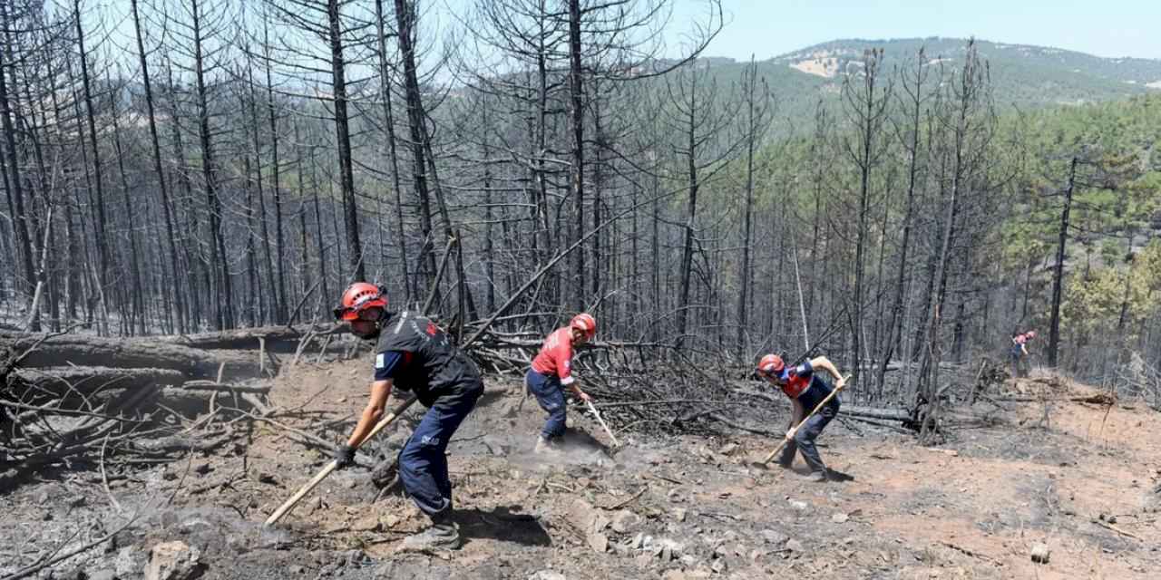 Bursa'da orman yangınlarına OSAD'dan koordineli müdahale