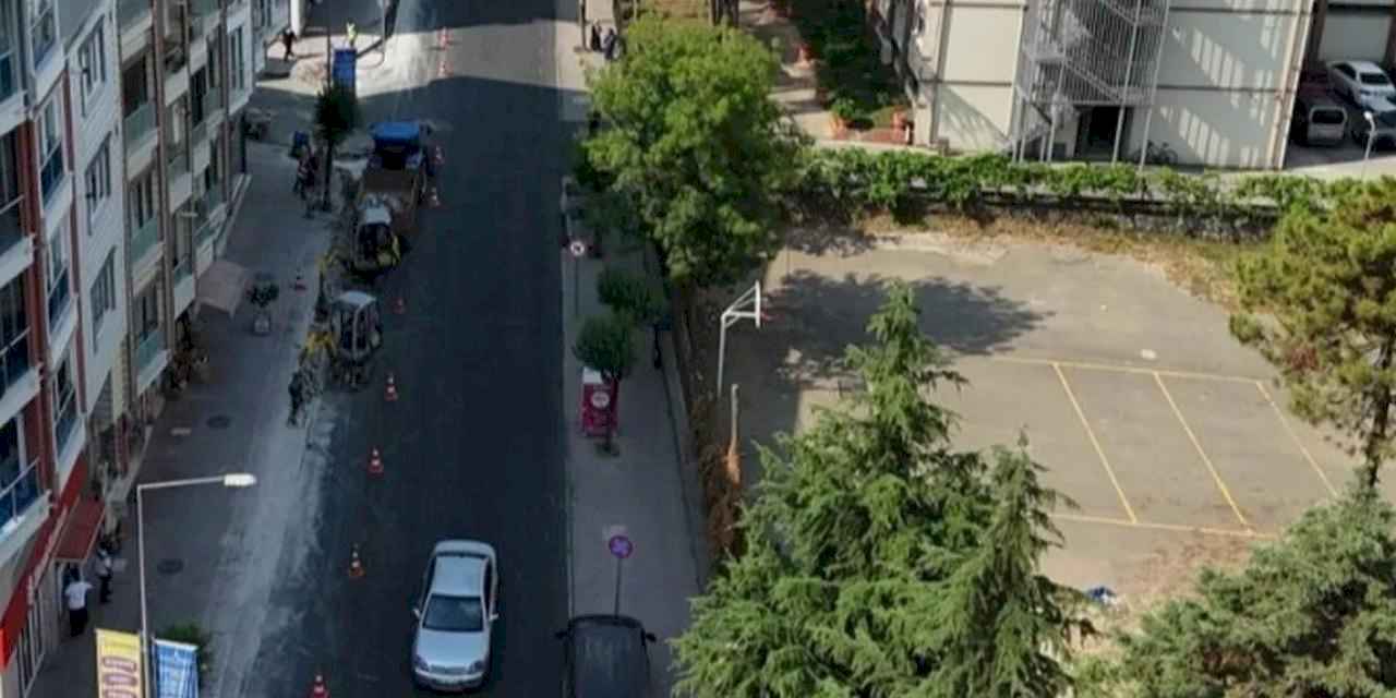 Ordu Büyükşehir'den estetik dokunuş