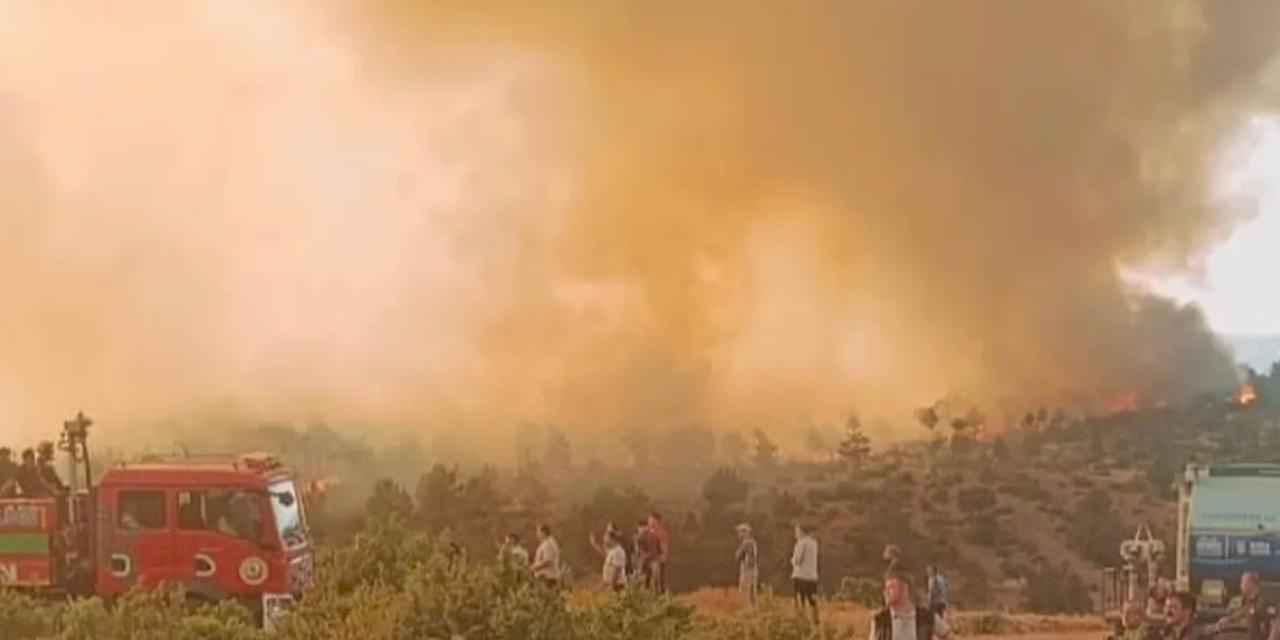 Orman yangınlarında 168 şüpheliden 39'u tutuklandı