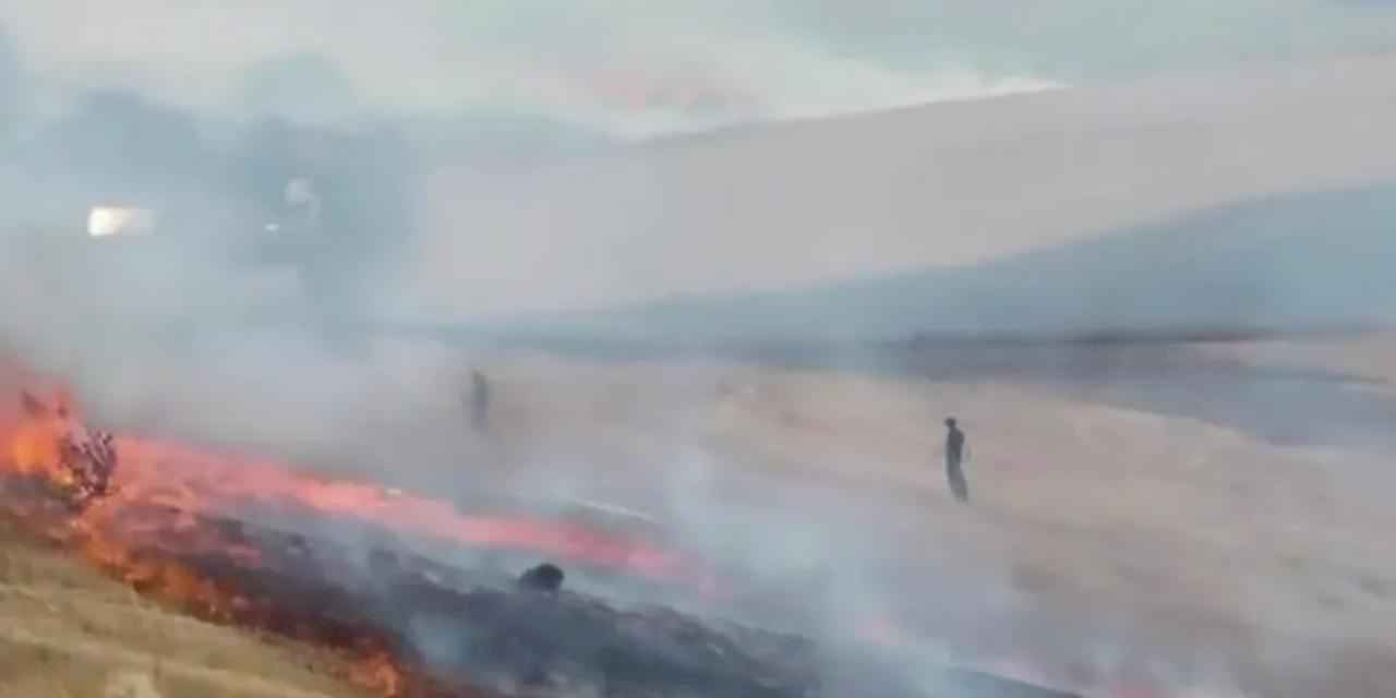 İstanbul Büyükçekmece'de otluk alanda yangın