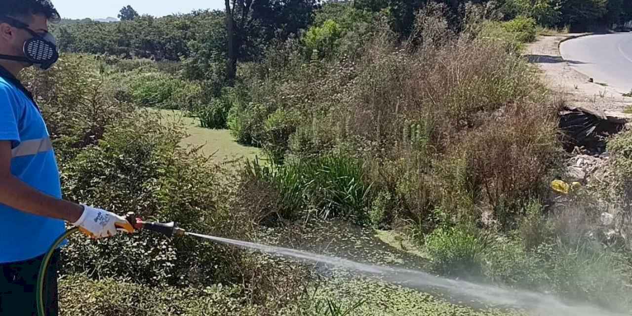 Sakarya'da dere yatakları, kanallar, bataklıklar ve göletlere tek tek ulaşıyorlar