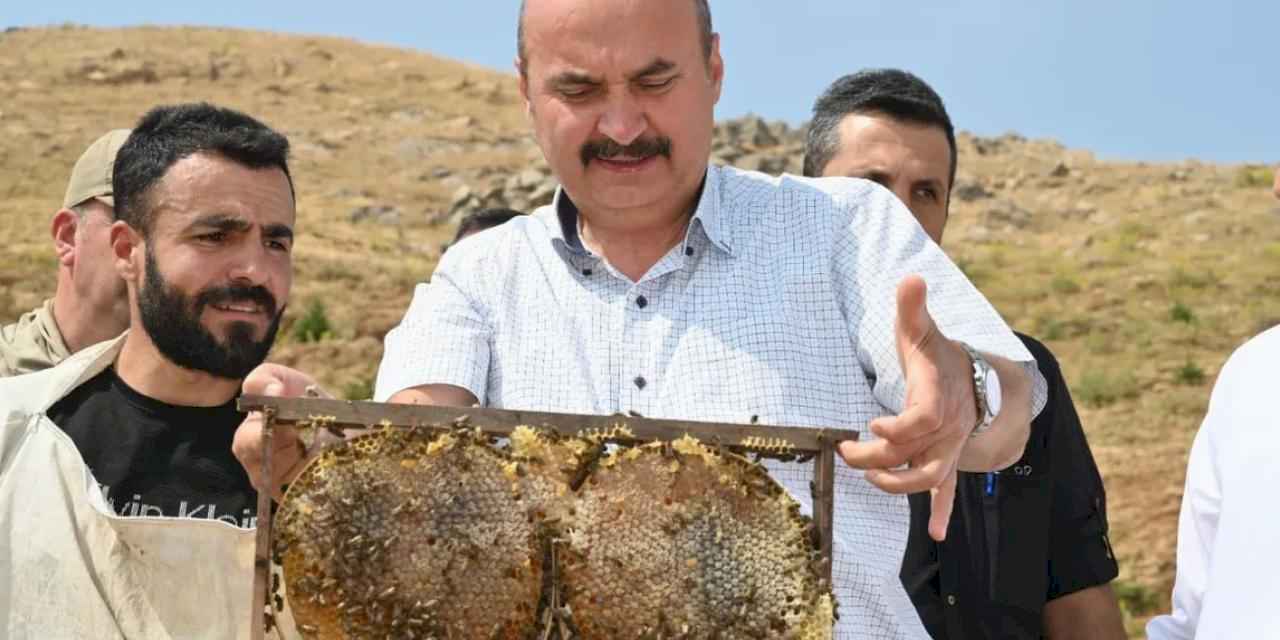 Batman Sason'da bal hasadı coşkusu