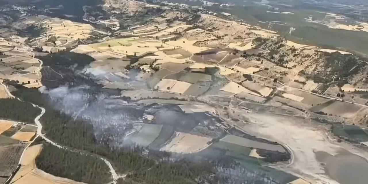 Bursa Yenişehir’deki orman yangını kontrol altında