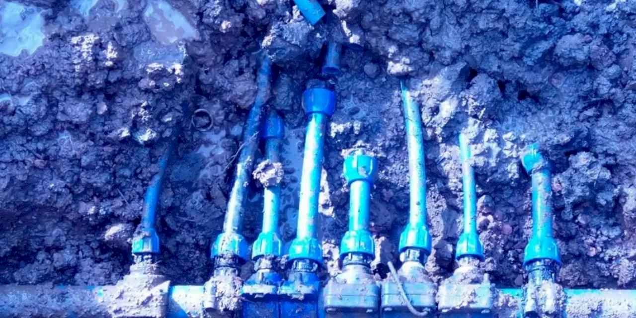 Görenler şok oldu! Şeytanın aklına gelmez