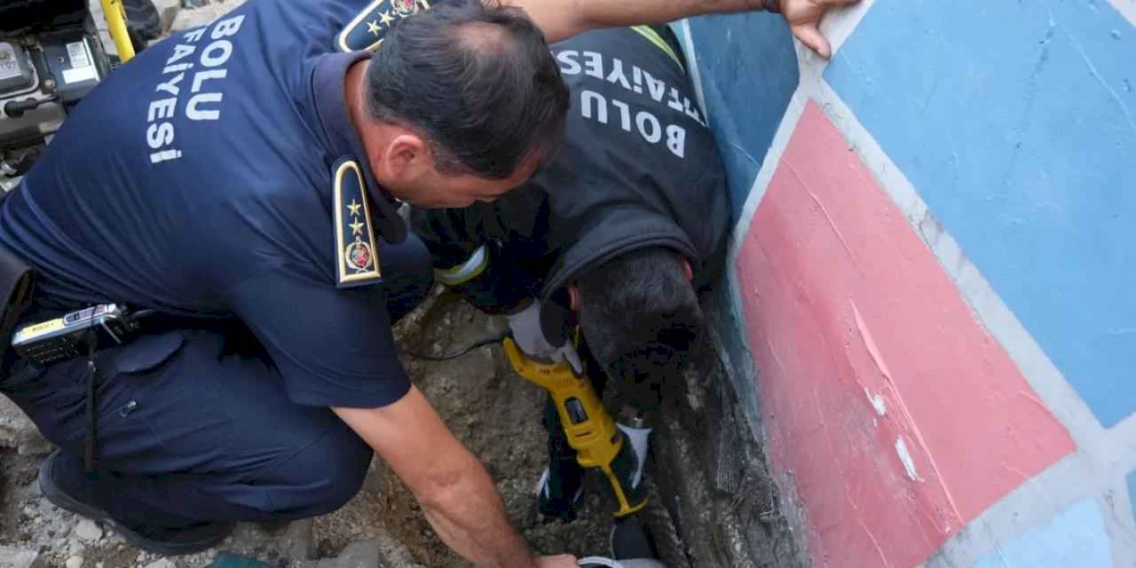 İtfaiyeden kedi kurtarma operasyonu