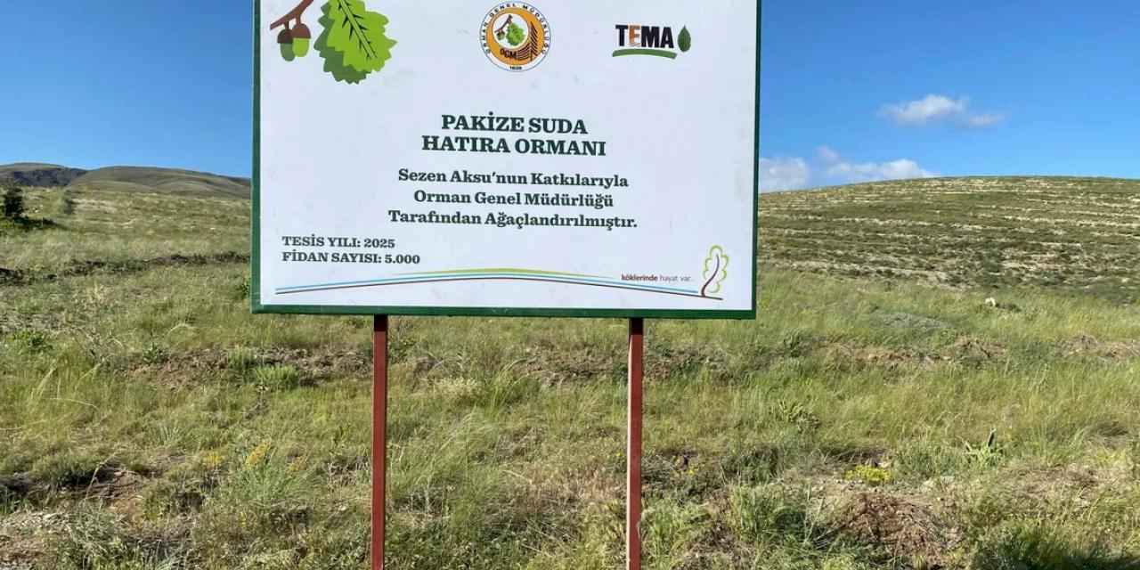 TEMA gönüllüsü Sezen Aksu, Pakize Suda adını hatıra ormanı ile yaşatacak