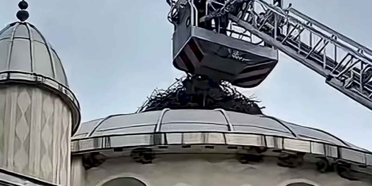 Bursa İtfaiyesi'nden İznik'te can dostuna hayat kurtaran müdahale