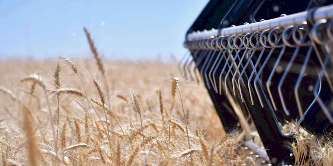 2025-2027 bitkisel üretim desteklemelerinde değişiklik