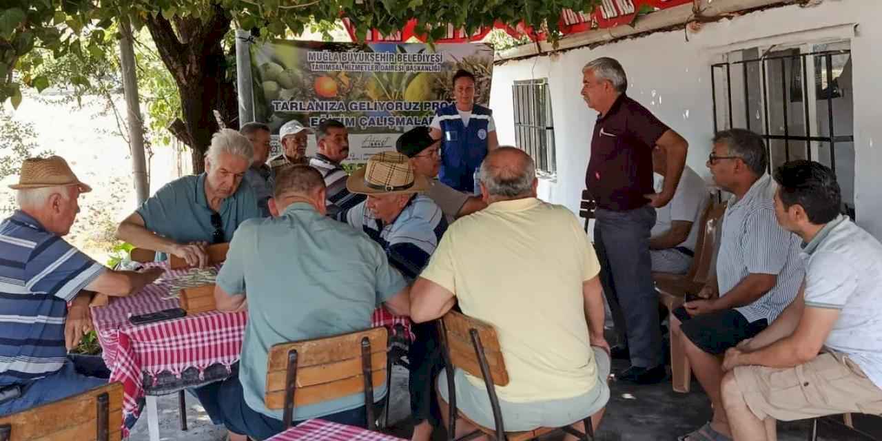 Muğla Büyükşehir’den zeytin üreticisine eğitim desteği