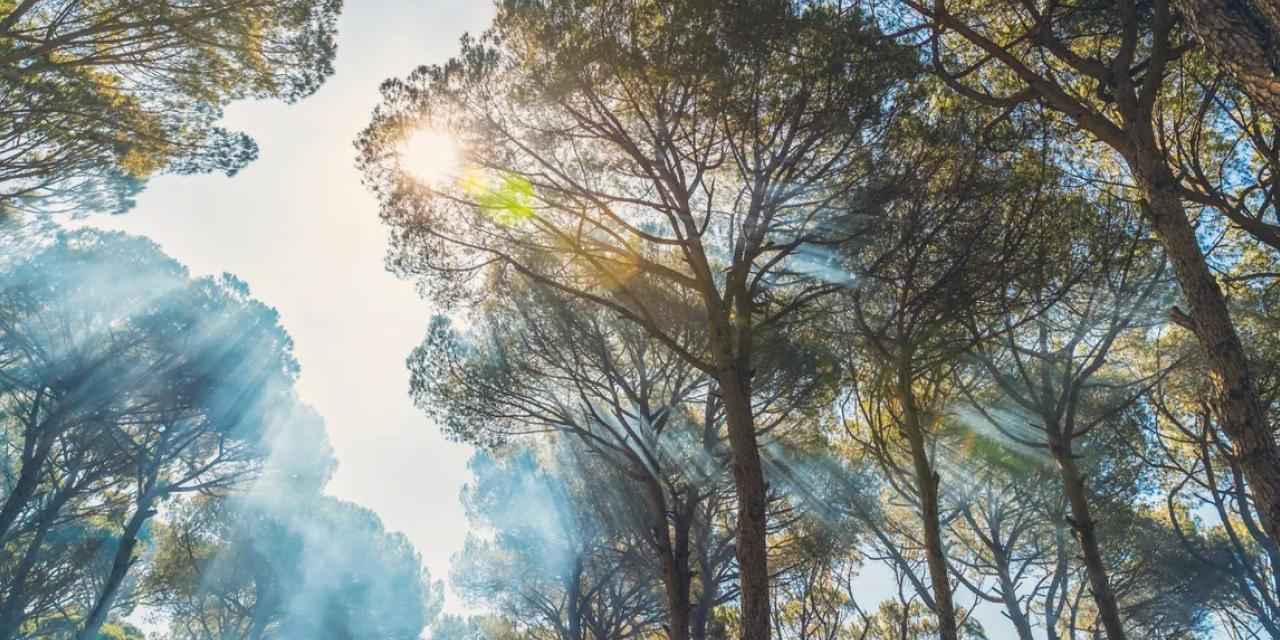 Yangın riskine karşı tatilde nasıl davranmalıyız?